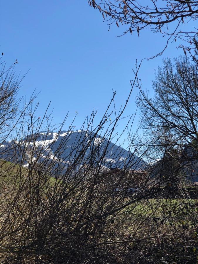 Hotel Alpine Lodge Gstaad Luaran gambar